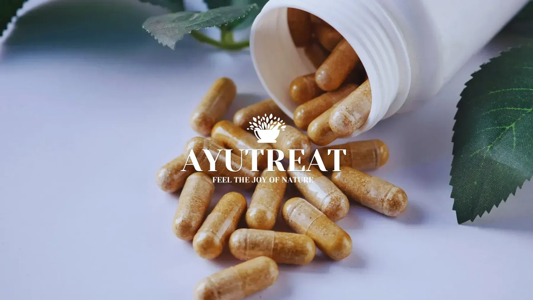 AyuTreat
